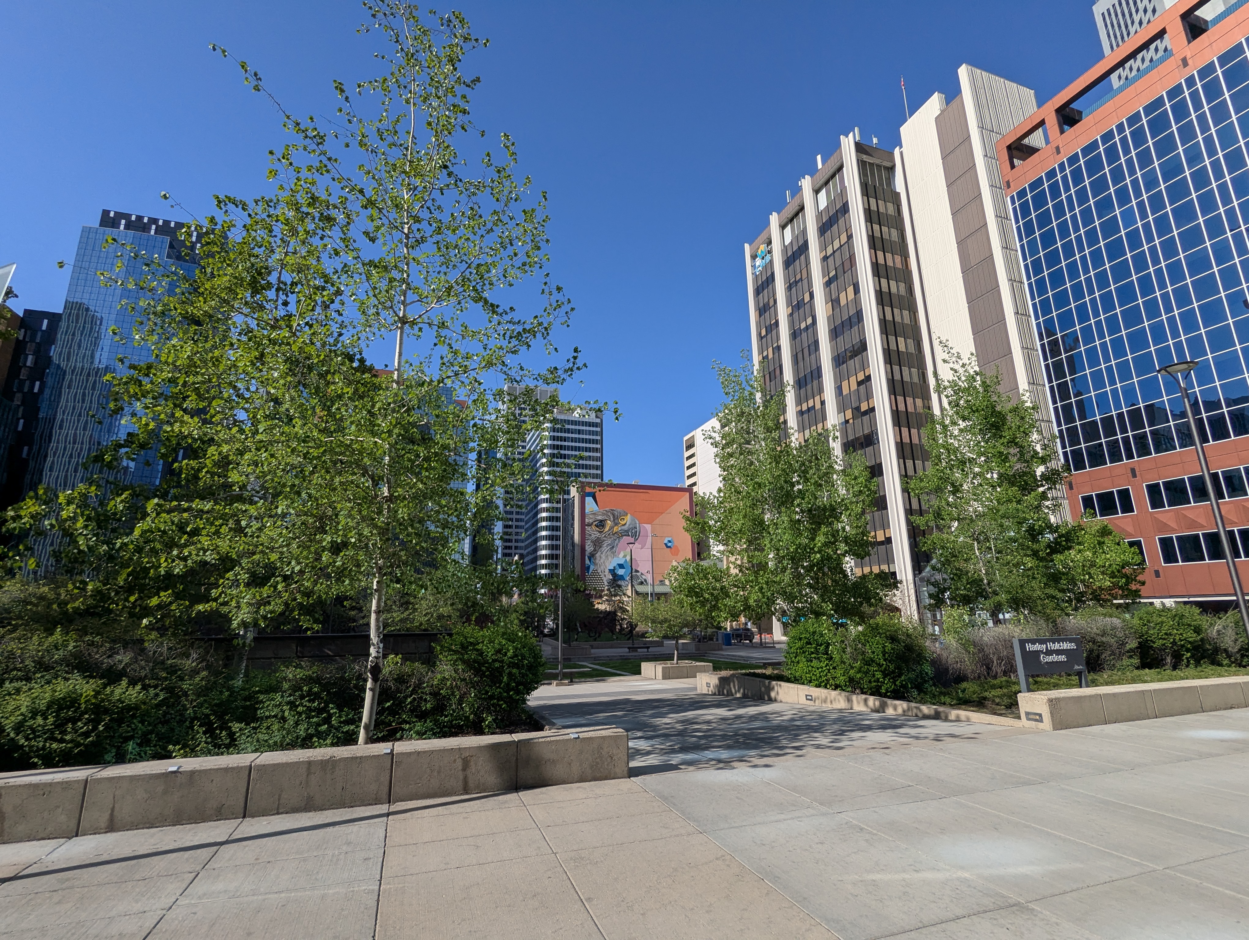 Birthday Trip to Canada, Calgary